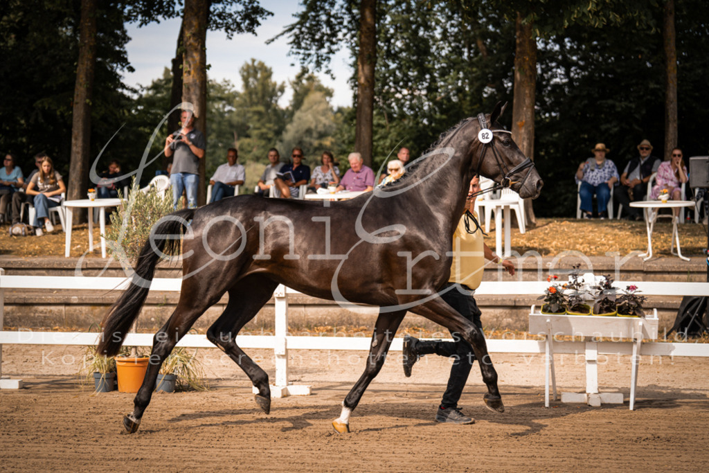 FrER00010 | Leoni Ertmer Photography - Realisiert mit Pictrs.com