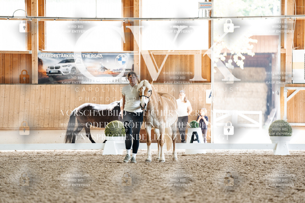 CK907843 | Turnierfotografie Pferdefotografie Trier Rheinland-Pfalz Pferdesport Reitsport Tierfotografie Sportfotografie Pferdevideo Pferdevideografie Equestrianvideography equestrianphotography  - Realisiert mit Pictrs.com