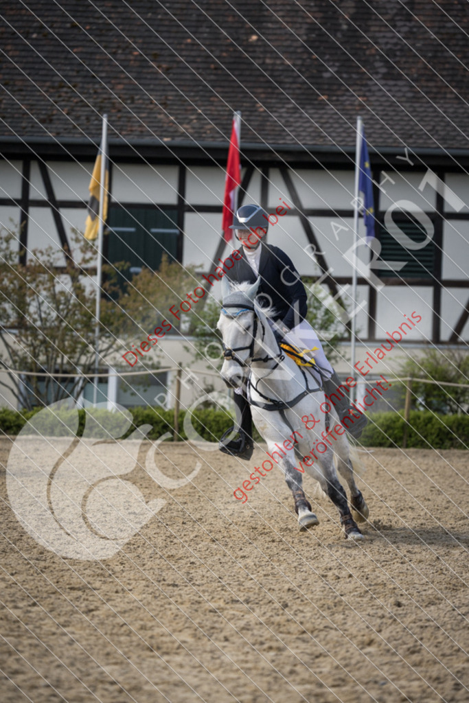 CON_0718 | Sport-, Event- und Tierfotos in Profiqualität. Einfach auswählen, bestellen und herunterladen. Dein Moment – perfekt festgehalten.