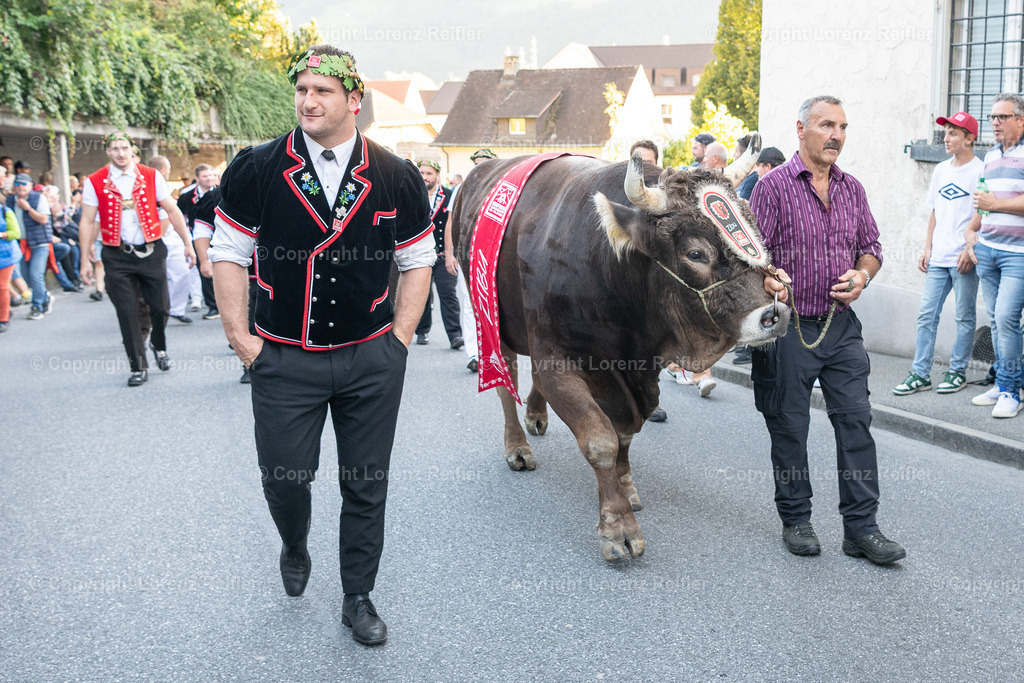 Schwingen -  ESAF Empfang Schwingerkönig 2025 | Maienfeld, 3.9.25, Schwingen - ESAF Empfang Schwingerkönig.