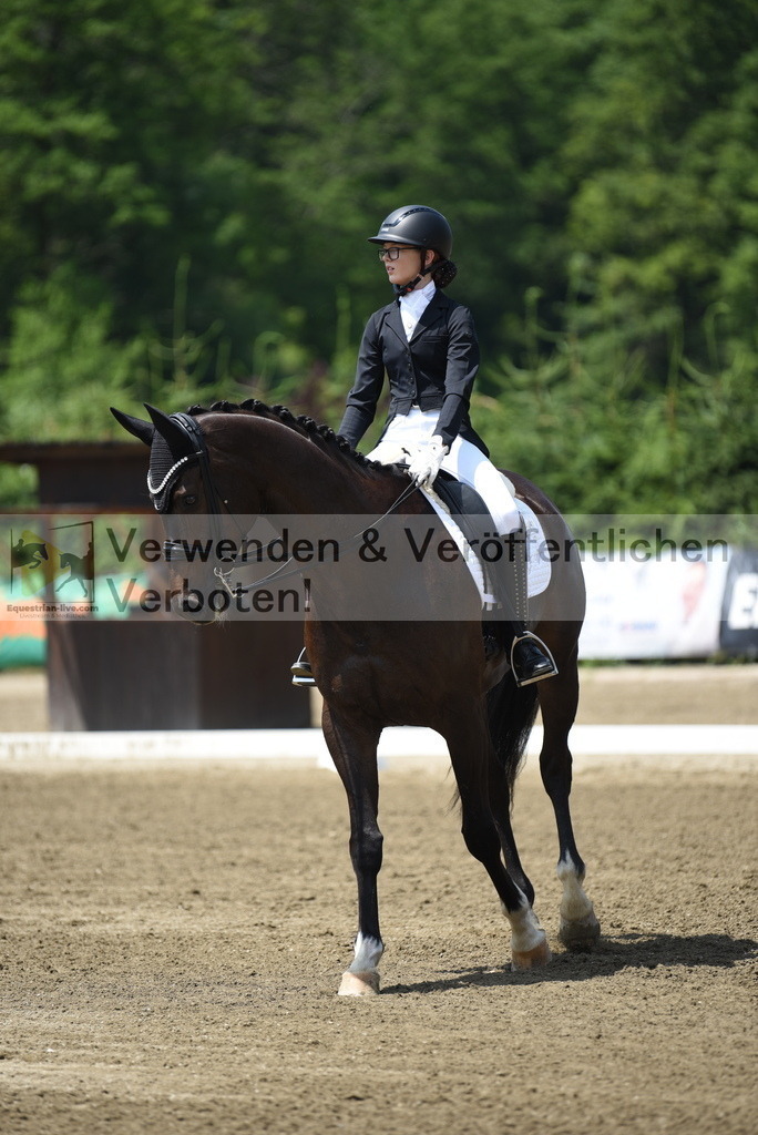 DSC_9781 | equestrian-live-com