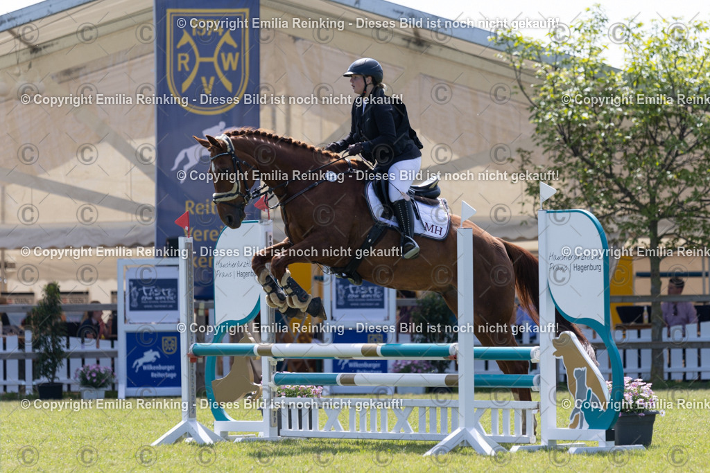 CL5A2033 | Emilia Reinking Fotografie - Realisiert mit Pictrs.com