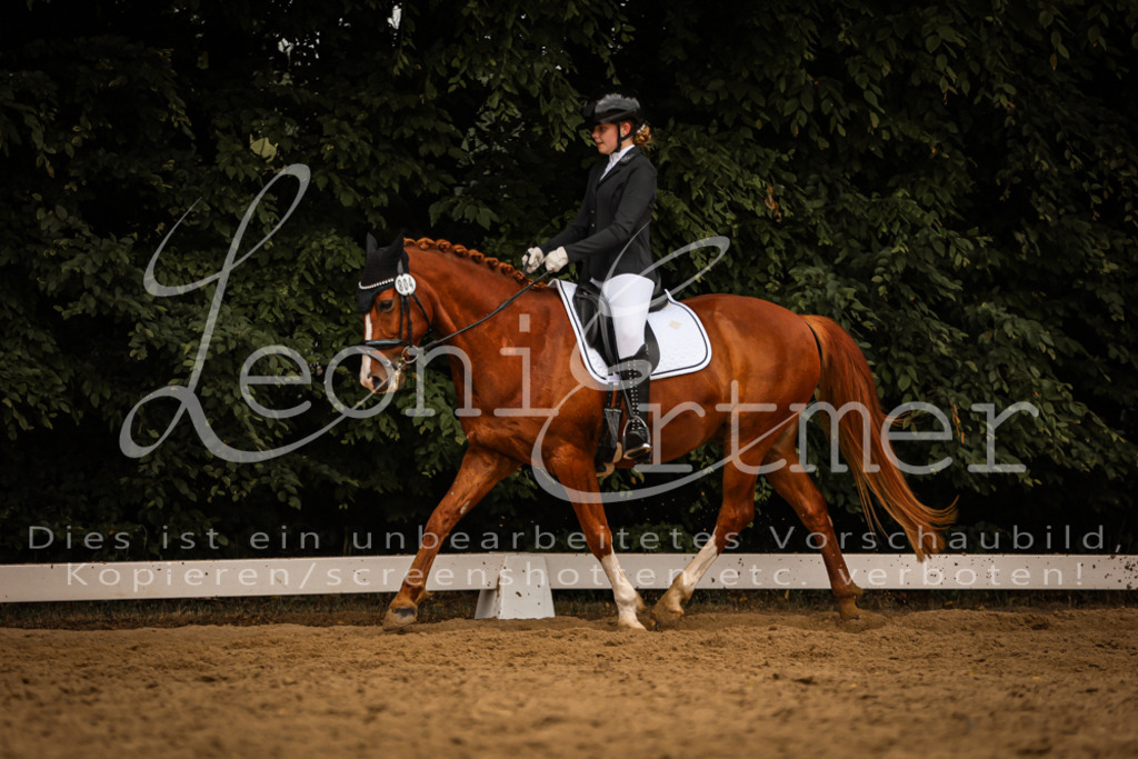 DoDrWB00200 | Leoni Ertmer Photography - Realisiert mit Pictrs.com