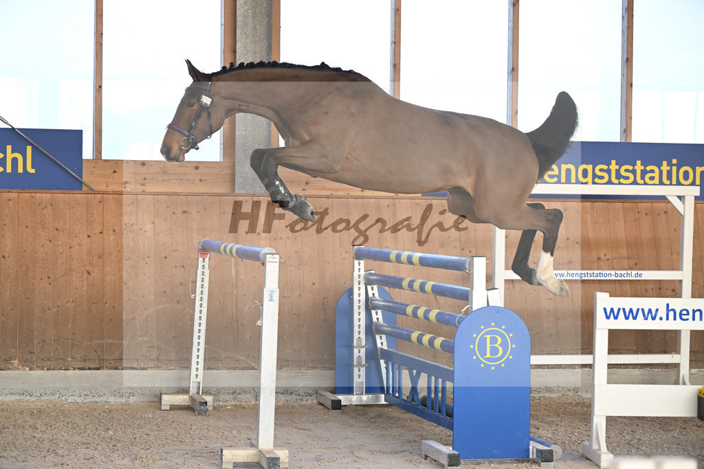 Kat-Nr. 11 Zara von Imhoff v. Catoki_Imhoff_14262193 | hf-fotografie - Realizzato con Pictrs.com
