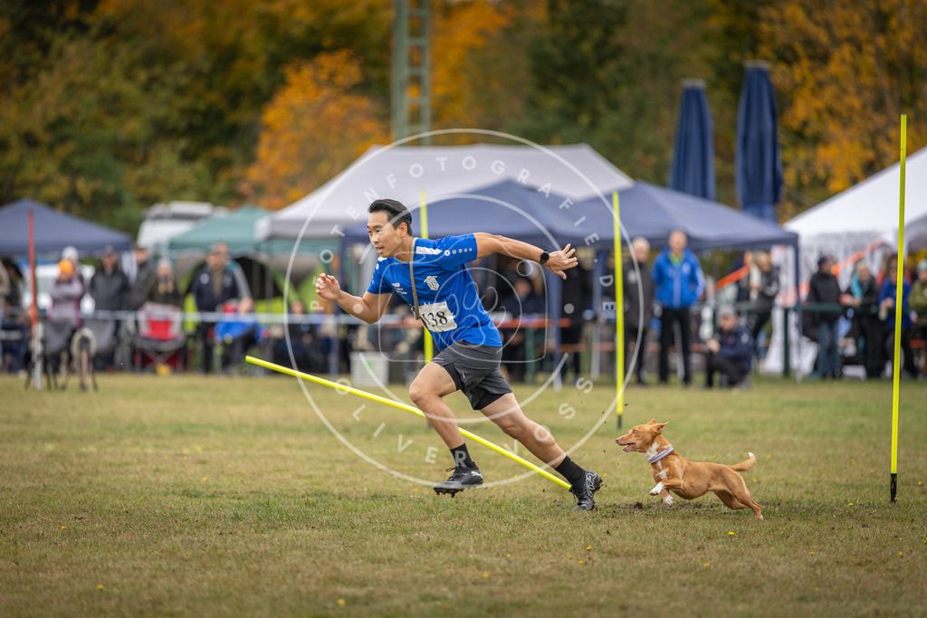 Pfotenfotografie_DV3A8202 | Hundefotografie, Tierfotograf, Pfotenfotografie, Fotoshooting Hund, Hunde Portrait, Hundesport, Hundeportraits, Heideshooting, Hunde, Sportfotograf, Hundefotograf, Turnierhundsport, THS,  - Realisiert mit Pictrs.com