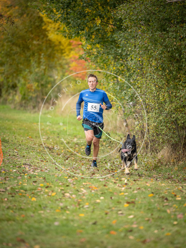 Pfotenfotografie_DV3A2553 | Hundefotografie, Tierfotograf, Pfotenfotografie, Fotoshooting Hund, Hunde Portrait, Hundesport, Hundeportraits, Heideshooting, Hunde, Sportfotograf, Hundefotograf, Turnierhundsport, THS,  - Realisiert mit Pictrs.com