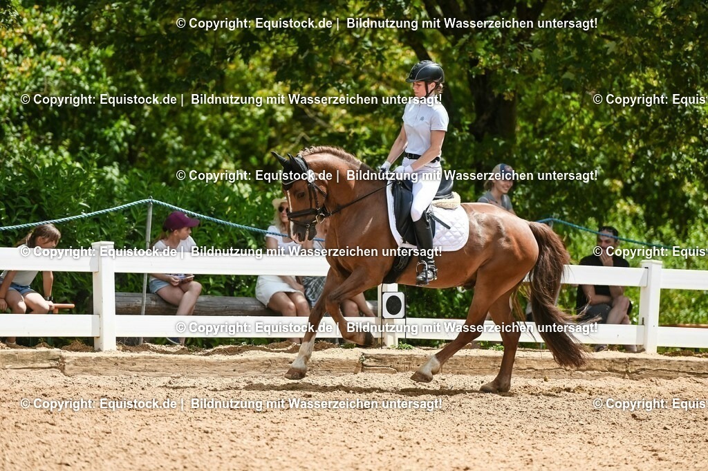20230715_05_Dressurprüfung Kl.A++_0224 | equistock