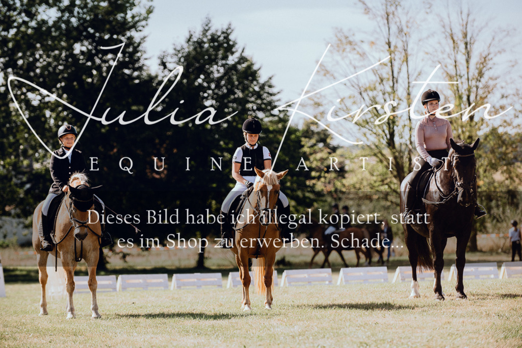 DSC_7160 | Pferde- und Turnierfotografie in Westsachsen. Pferdeportraits, Auftragszeichnungen und intuitive Kunst.