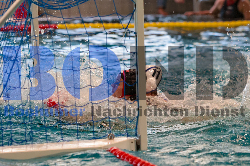 SES_BOCSPA20250209-19 | bond - Realisiert mit Pictrs.com