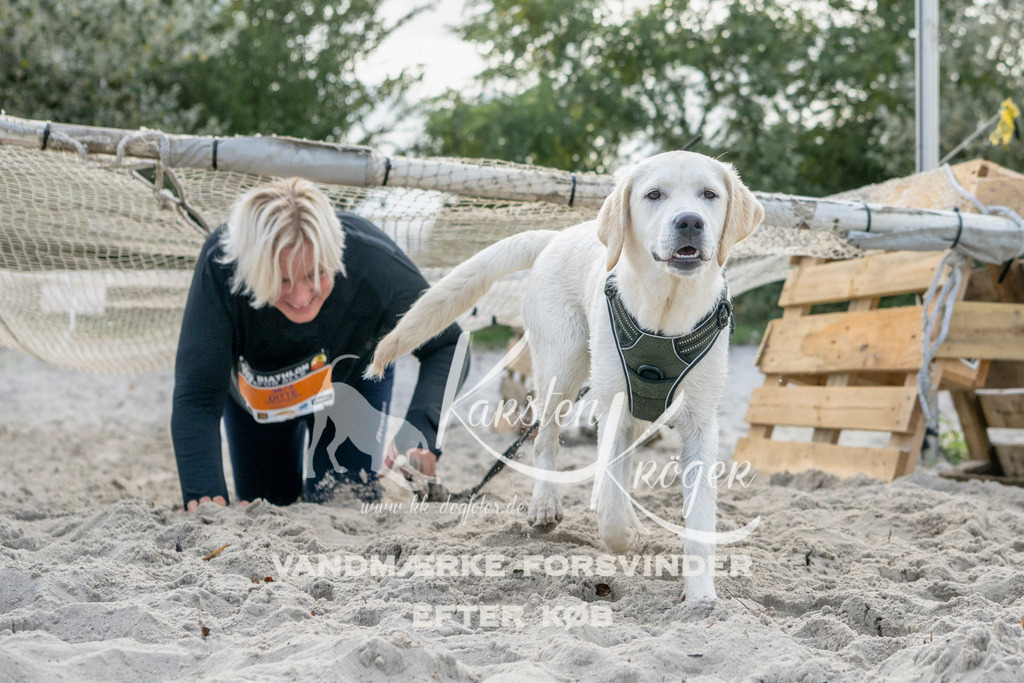 1215_ZZ90690 | kk-dogfotos