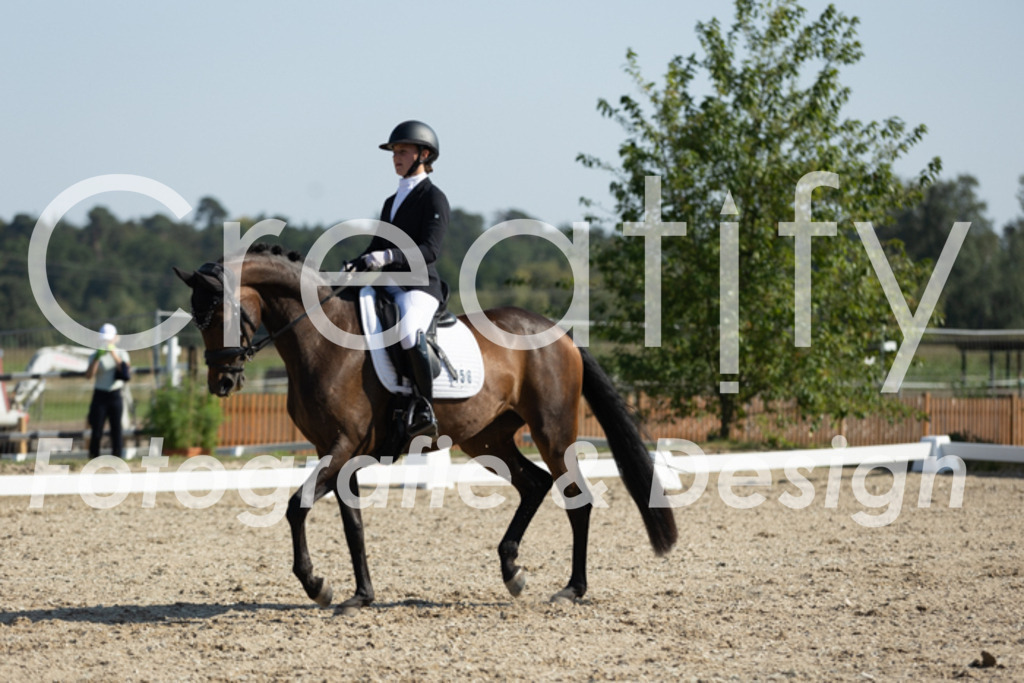 IMG_5928 | Creatify Fotografie