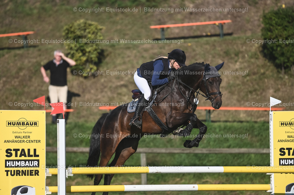 20230908_14-15_Springpferde-A_0046 | equistock