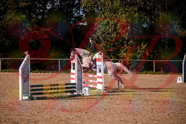 2026_10_03_Siefer-Hof_155148_Z81_71061172 | Professionelle Reitsport-, Turnier- und Eventfotografie von Robert Broda. Galerien mit ausgewählten und bearbeiteten Bildern direkt online ansehen und bestellen.