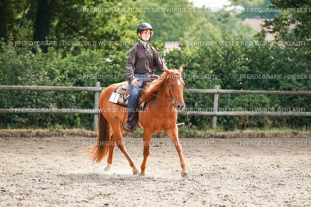 DSC04812 | Pferdegrafie