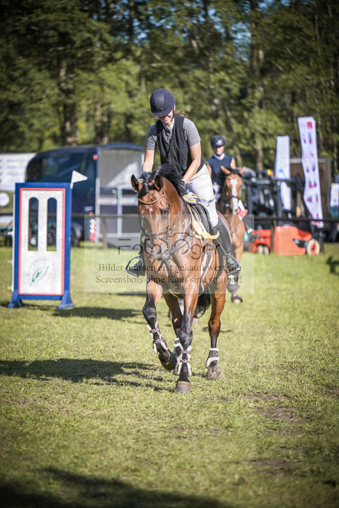 DOS_0070 | Entdecke hochwertige Reitturnierfotos von Foto Oger. Professionell, emotional und authentisch – jetzt Lieblingsmomente im Shop bestellen.Deutschlandweite Turnierfotografie. - Realisiert mit Pictrs.com