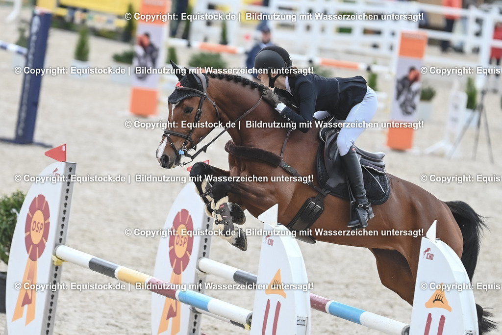 20230514_CCI2_Section1_Springen_0129 | equistock