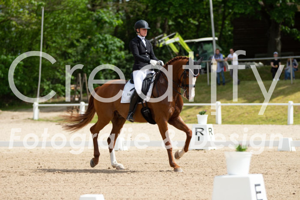 IMG_6409 | Creatify Fotografie