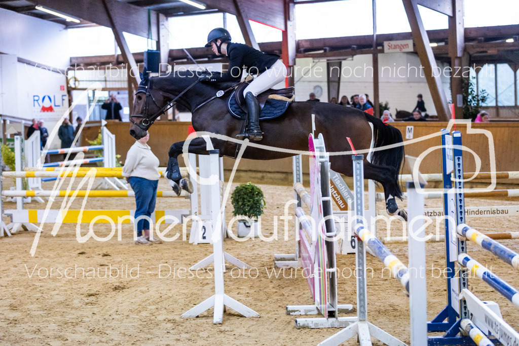 Sth-L-Springen-002 | MomenTaufnahmen Pferdesportfotos