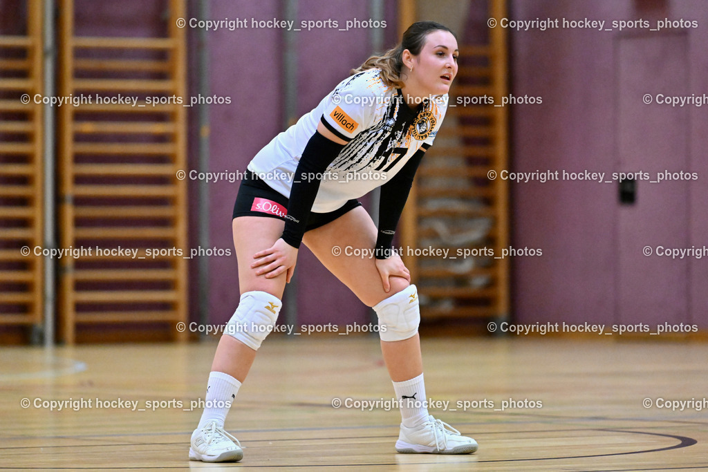 ASKÖ Volley Eagles Villach vs. VC Hausmannstätten | #17 PIRKER Sophie ASKÖ Volley Eagles Villach, ASKÖ Volley Eagles Villach vs. VC Hausmannstätten, ASKÖ Volley Eagles Villach vs. VC Hausmannstätten am 01.02.2025 in Villach (Ballspielhalle Lind), Austria, (Photo by Bernd Stefan)