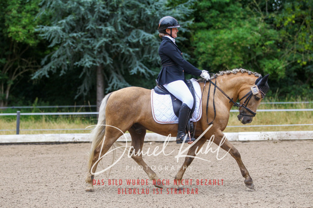 DKP47181 | Turniersportfotografie; Pferdefotografie; Dressurfotografie