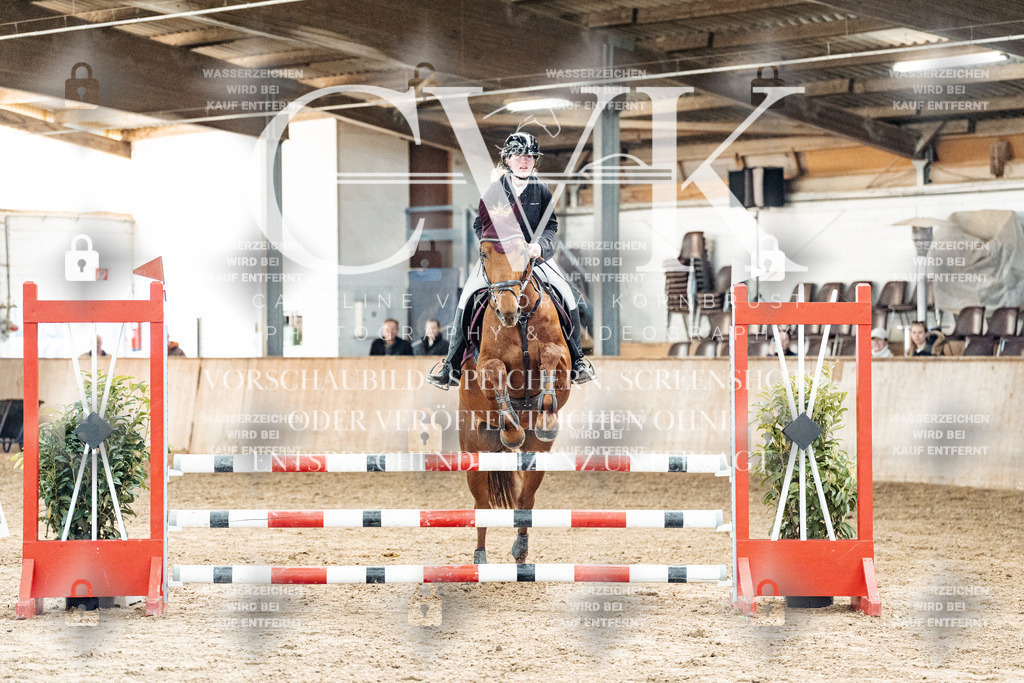 CK904752 | Turnierfotografie Pferdefotografie Trier Rheinland-Pfalz Pferdesport Reitsport Tierfotografie Sportfotografie Pferdevideo Pferdevideografie Equestrianvideography equestrianphotography  - Realized with Pictrs.com
