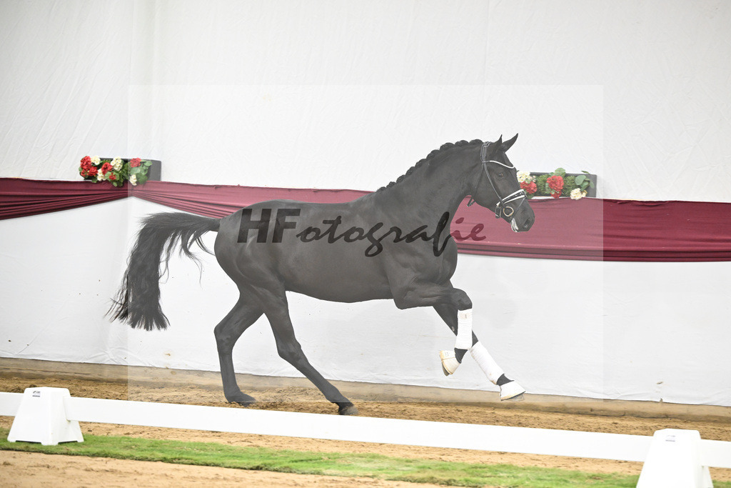 Kat-Nr. 39 Secret x Finest_Ignaz Berger_47251371 | hf-fotografie - Realisiert mit Pictrs.com