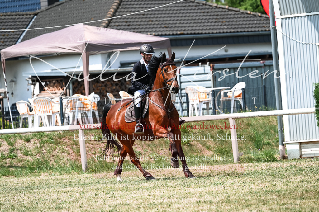 DSC_9156 | Pferde- und Turnierfotografie in Westsachsen. Pferdeportraits, Auftragszeichnungen und intuitive Kunst.