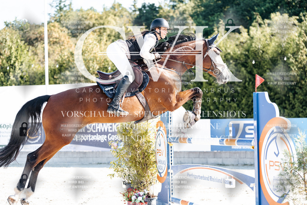 CK904577 | Turnierfotografie Pferdefotografie Trier Rheinland-Pfalz Pferdesport Reitsport Tierfotografie Sportfotografie Pferdevideo Pferdevideografie Equestrianvideography equestrianphotography  - Realisiert mit Pictrs.com