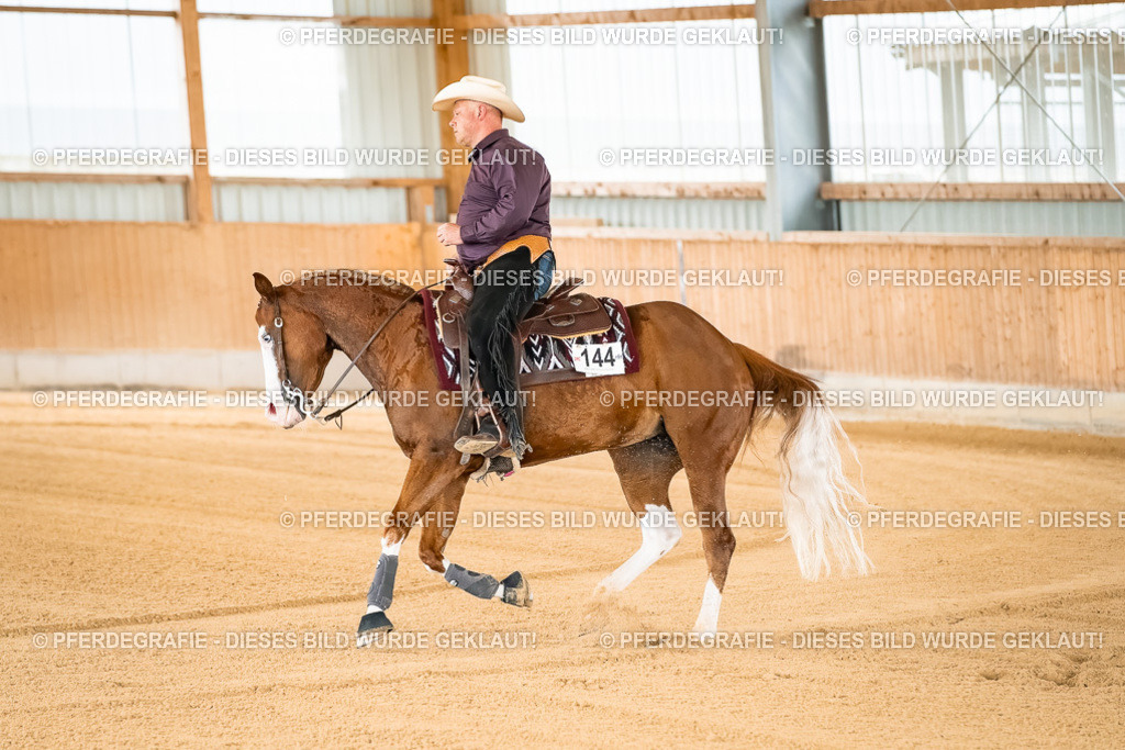 DSC01533 | Pferdegrafie