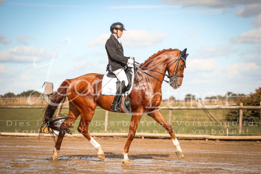 17.SoDrM00029 | Leoni Ertmer Photography - Realisiert mit Pictrs.com