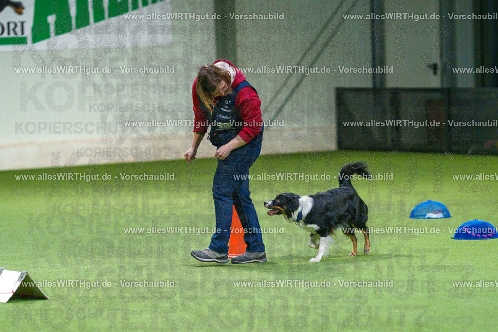 7R505392 | Professionelle Tierfotografie in Mönchengladbach von Daniel Wirth (allesWIRTHgut). Liebevolle & natürliche Bilder von Hunden & Katzen für unvergessliche Erinnerungen.