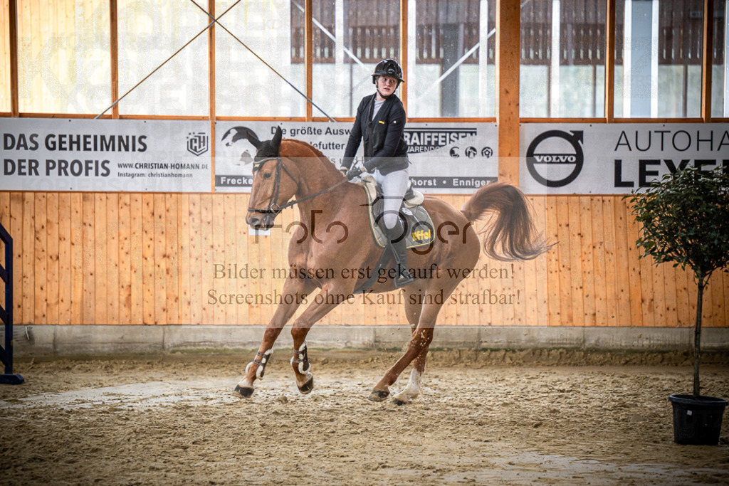 DOS_1994 | Entdecke hochwertige Reitturnierfotos von Foto Oger. Professionell, emotional und authentisch – jetzt Lieblingsmomente im Shop bestellen.Deutschlandweite Turnierfotografie. - Realisiert mit Pictrs.com