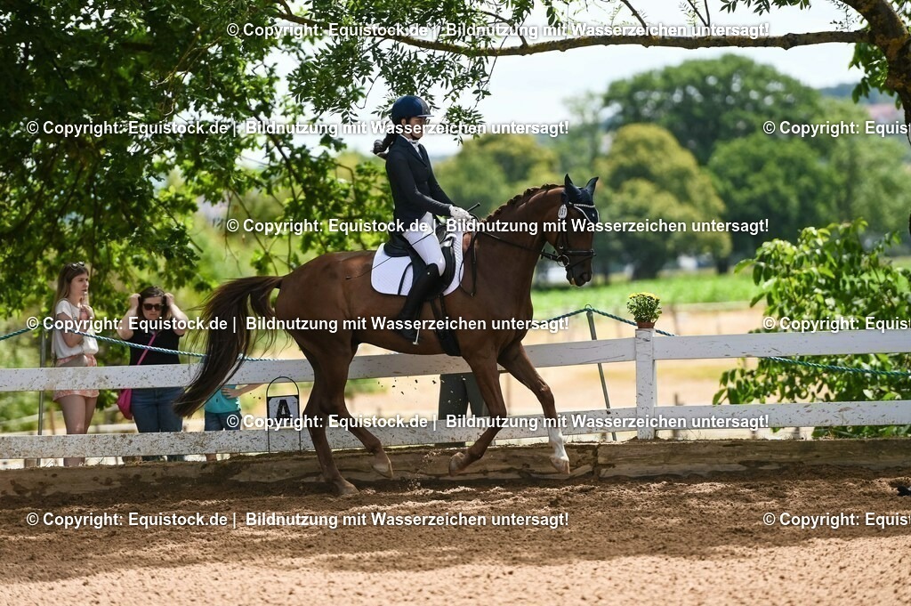 20230716_03_Dressurprfg. Kl.L - Tr._0318 | equistock