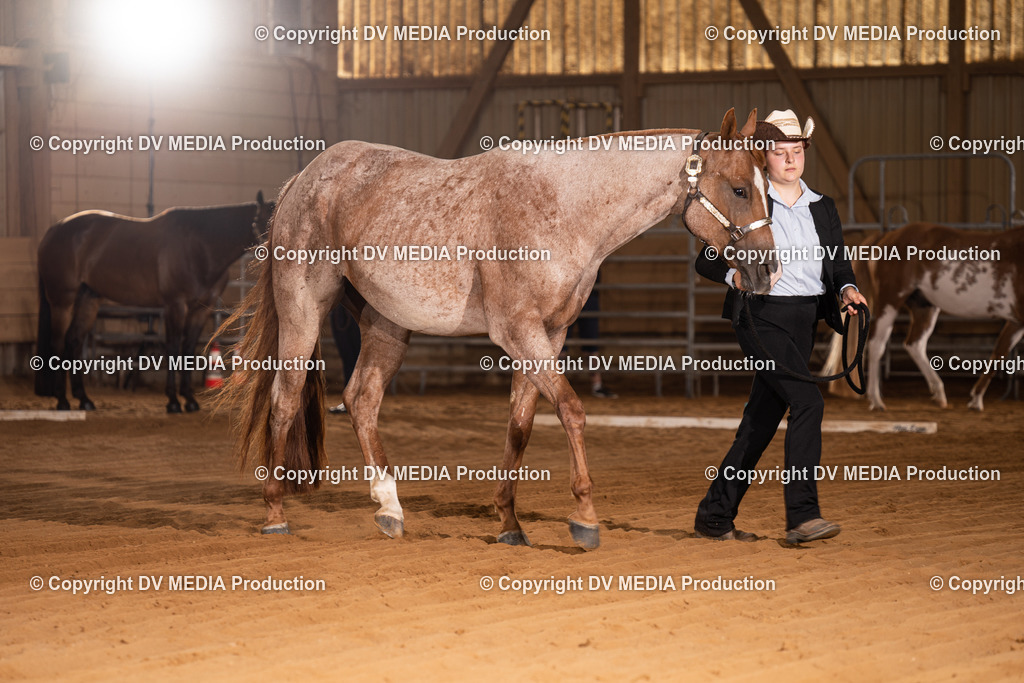 NID00022 | dv-media-shop - Realisiert mit Pictrs.com