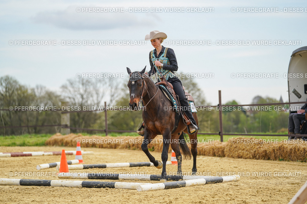 DSC03190 | Pferdegrafie