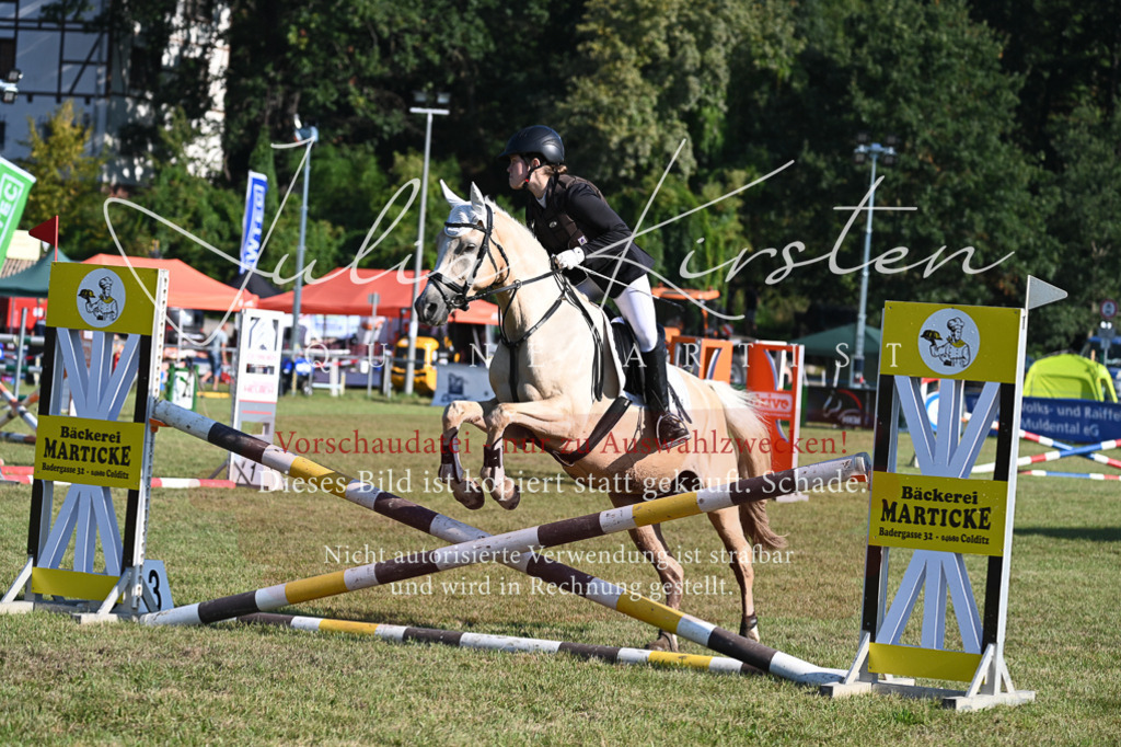 DSC_5035 | Pferde- und Turnierfotografie in Westsachsen. Pferdeportraits, Auftragszeichnungen und intuitive Kunst.
