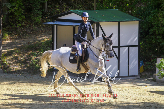 DKP43091 | Deine Turnierfotos vom Reitturnier online kaufen: Dressur, Springen & Siegerehrung. Professionelle Pferdefotografie aus dem Rheinland – als Download & Print.Alternative: Turnierfotograf für den Pferdesport: Finde deine Fotos von Dressur- und Springturnier