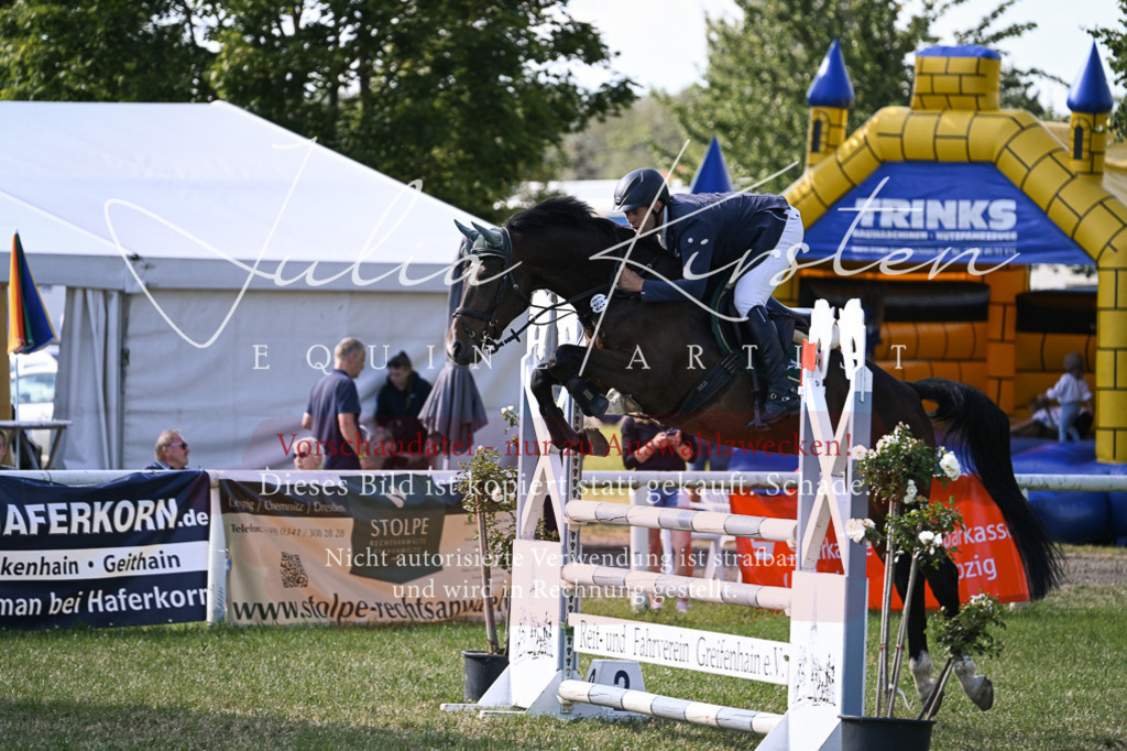 DSC_1398 | Pferde- und Turnierfotografie in Westsachsen. Pferdeportraits, Auftragszeichnungen und intuitive Kunst.