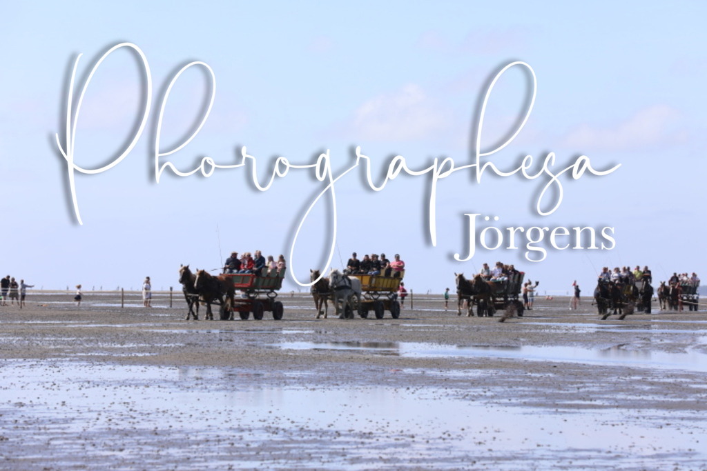 IMG_9530 | photographesa-joergens - Realisiert mit Pictrs.com