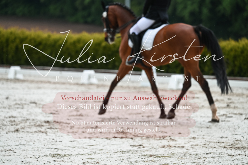 DSC_4381 | Pferde- und Turnierfotografie in Westsachsen. Pferdeportraits, Auftragszeichnungen und intuitive Kunst.