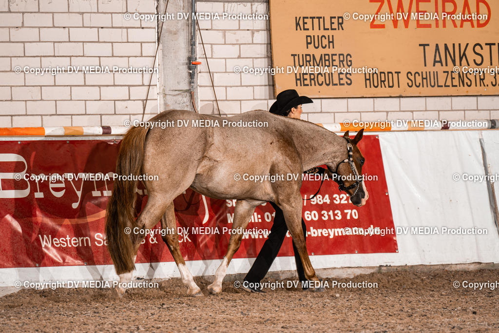 ZH200074 | dv-media-shop - Realisiert mit Pictrs.com