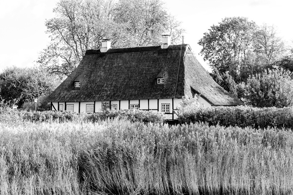 Wandbild: Reetdachhaus in Sieseby in Schwarz-Weiß | Dieses Wandbild im Querformat zeigt ein Reetdachhaus in Sieseby an der Schlei in Schwarz-Weiß. Direkt vor dem Haus befindet sich am Schleiufer Schilf. Hinter dem Haus sind einige Bäume zu sehen.  - Realisiert mit Pictrs.com
