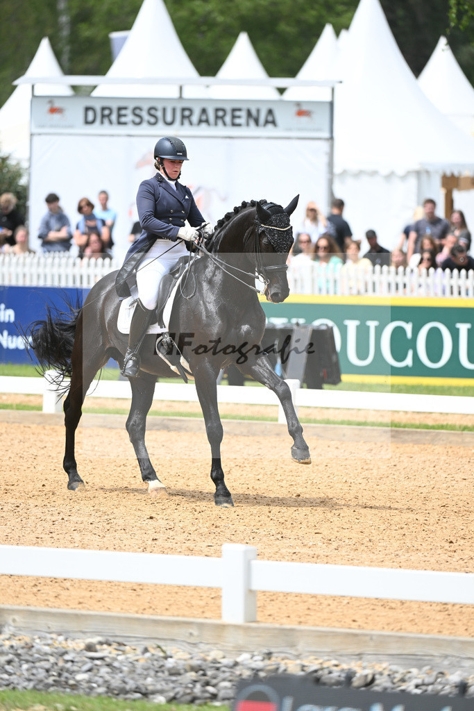 Merk_Sambuco_11233605 | hf-fotografie - Realisiert mit Pictrs.com