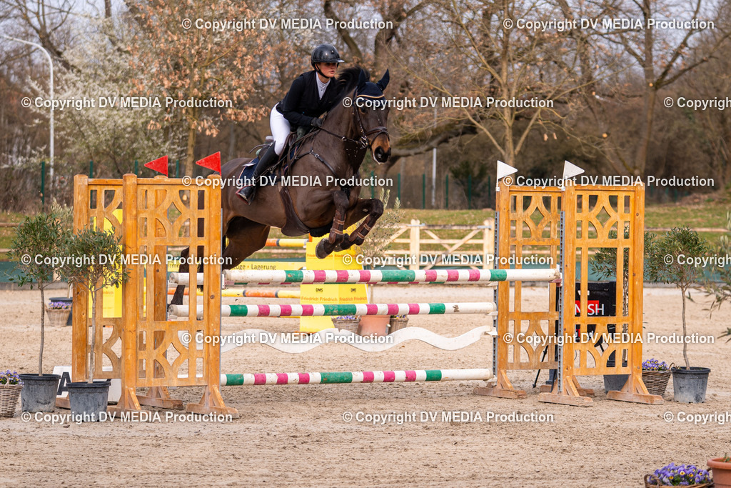 Kranichstein Tag 2-1627 | dv-media-shop - Realisiert mit Pictrs.com