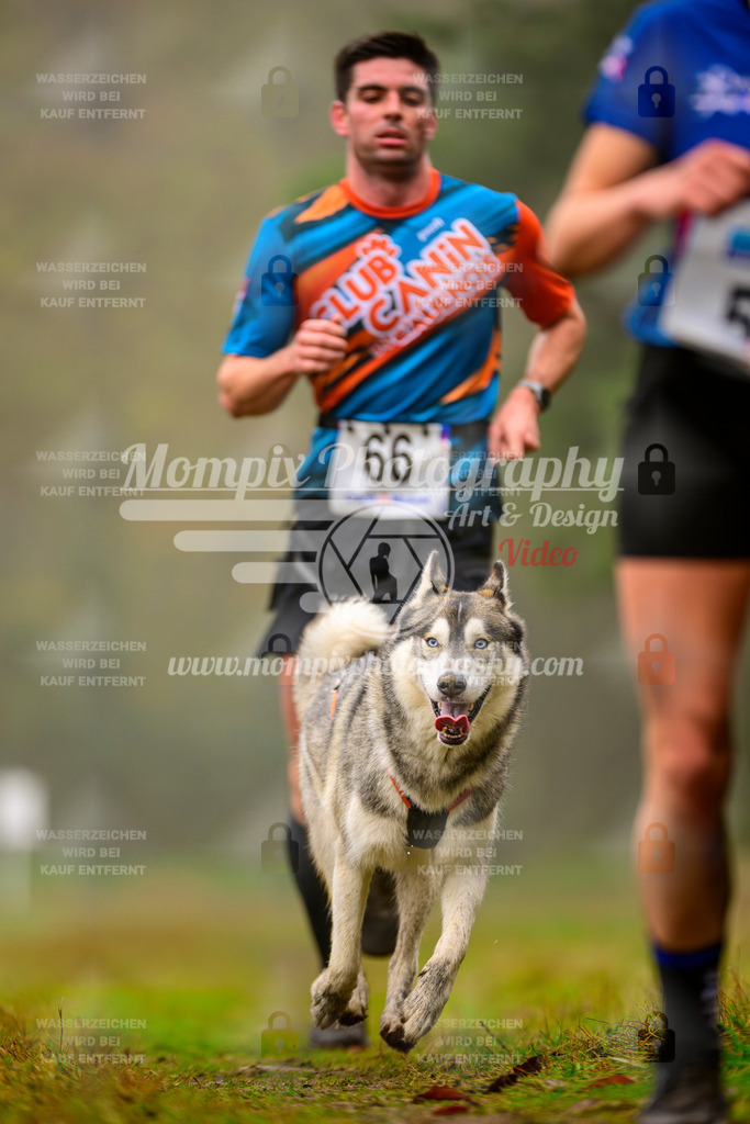 MompixPhotography_Bischwiller2025_Canicross-37 | mompixphotography