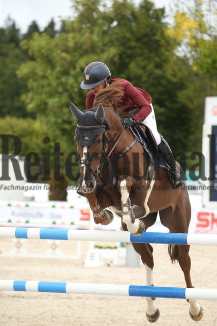 Villingendorf_2022_Prfg.Nr.08_zwei Phasen_Springprfg.Kl.M_Youngster_Elisabeth Meyer_Derrick 121 (2) | Alle Fotos der Reiterjournal Fotografin Doris Matthaes im Reiterjournal Online-Fotoshop. - Realisiert mit Pictrs.com