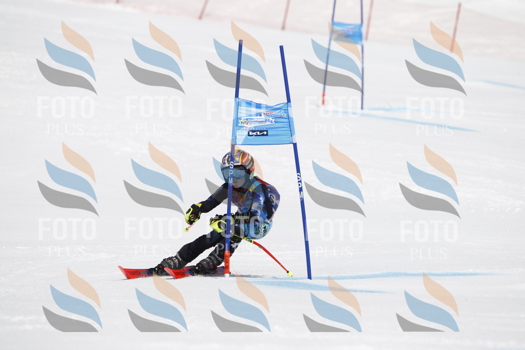 _U3G5924 | holidayphoto