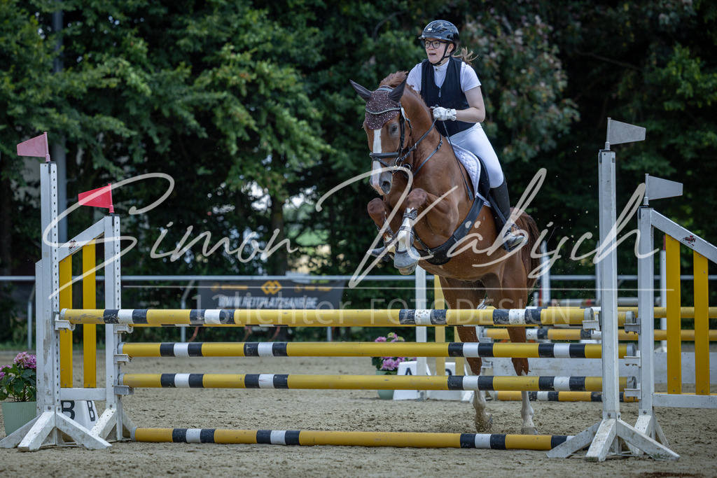 20260704-_3LI9630 | Tierfotografie Pferde, Hunde, Katzen, Haustiere.
Turnierfotografie Reitturniere, Reiten, Springreiten, Dressur in Hanau, dem Main-Kinzig-Kreis und dem Rhein-Main- Gebiet um Frankfurt