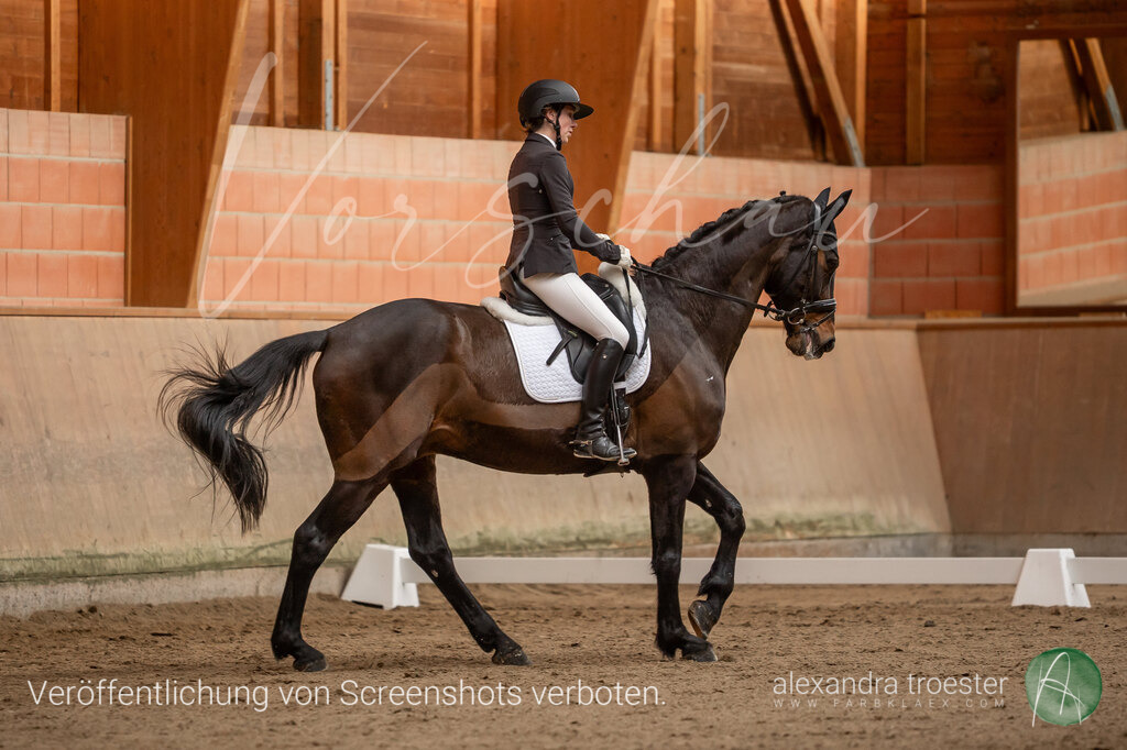 250405_Barop_00_097 | farbklaex.com