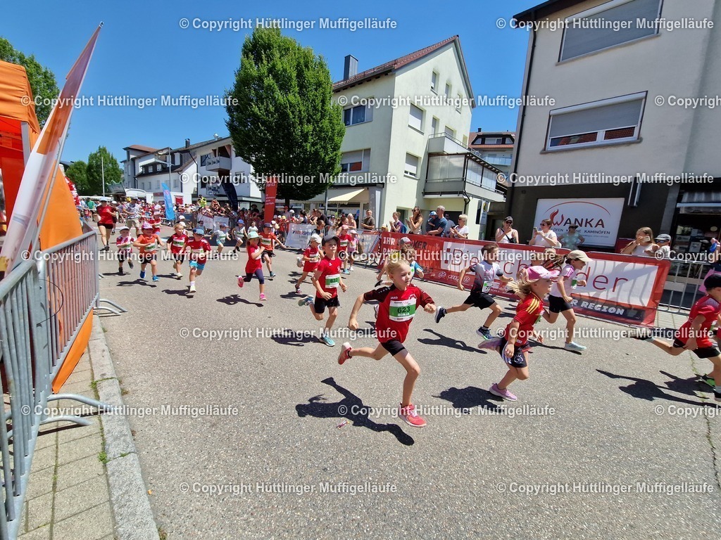 20260620_130023 | Hüttlinger Muffigelläufe - Realisiert mit Pictrs.com